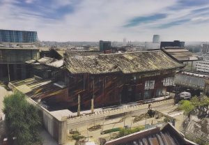 哈兰德：年轻天才如何在绿茵场上书写传奇与未来